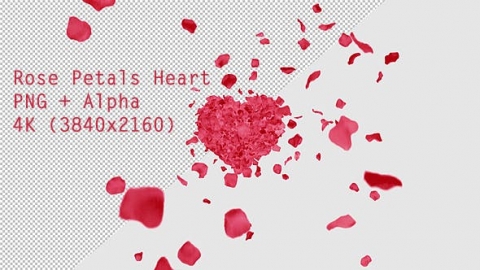 视频素材 红色玫瑰花瓣汇聚心形动画视频素材rose-petals-heart-E8J4QLS