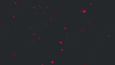视频素材 玫瑰花瓣飞舞飘落飘动动画视频素材rose-falling-2-pack-4k-2QKJXFPRose_4k_PNG