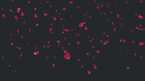 视频素材 玫瑰花瓣飞舞飘落飘动动画视频素材rose-petals-pack-53BPD8F01
