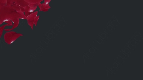 视频素材 玫瑰花瓣飞舞飘落飘动动画视频素材rose-petals-pack-53BPD8F03