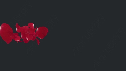 视频素材 玫瑰花瓣飞舞飘落飘动动画视频素材rose-petals-pack-53BPD8F04