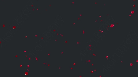 视频素材 玫瑰花瓣飞舞飘落飘动循环动画视频素材rose-falling-2-pack-4k-2QKJXFPRose_4k_Loop_PNG