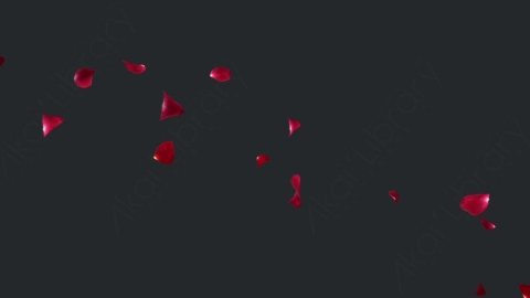 视频素材 玫瑰花瓣分飘动飘落循环动画视频素材rose-2-pack-4k-LWXKSBQ10_loop