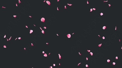 视频素材 玫瑰花瓣飘落飘动循环动画视频素材falling-pink-petals-on-alpha-channel-loops-v1-LN56URQ002