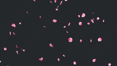 视频素材 玫瑰花瓣飘落飘动循环动画视频素材falling-pink-petals-on-alpha-channel-loops-v1-LN56URQ003