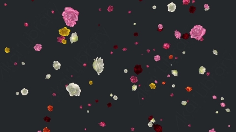 视频素材 玫瑰花朵花瓣飘落飘动动画视频素材falling-roses-multicolored-loop-9FZK7MR