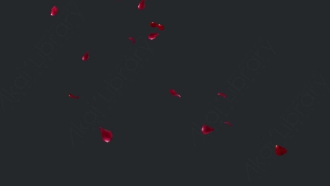 视频素材 玫瑰花飞舞飘落飘动动画视频素材rose-4k-YS68CA811_4K
