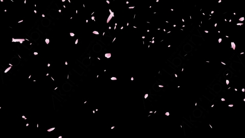 视频素材 粉红红色樱花花瓣飘动动画视频素材sakura-cherry-blossom-sakura cherry blossom1