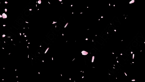 视频素材 粉红红色樱花花瓣飘动动画视频素材sakura-cherry-blossom-sakura cherry blossom2