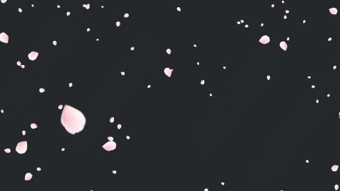 视频素材 樱花花瓣飞舞飘动飘落动画视频素材sakura-cherry-blossom-ZSQKGPR03