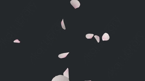 视频素材 樱花花瓣飞舞飘落飘动动画视频素材sakura-falling-VS72MAC02_fg_4k
