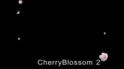 视频素材 樱花花瓣飘动飘落动画视频素材cherry-blossom-2-pack-4k-DE94F27