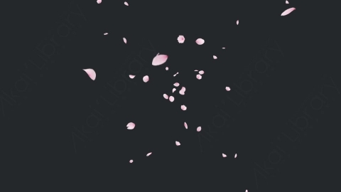 视频素材 樱花花瓣飘落飘动动画视频素材cherry-blossom-4-pack-EX68PYG01