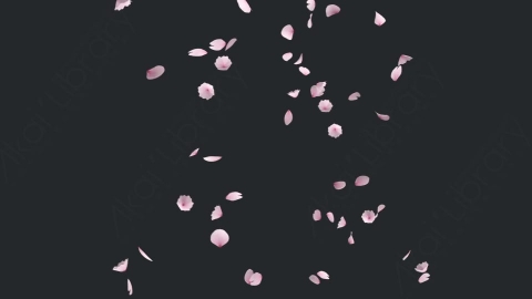 视频素材 樱花花瓣飘落飘动动画视频素材cherry-blossom-4-pack-EX68PYG02