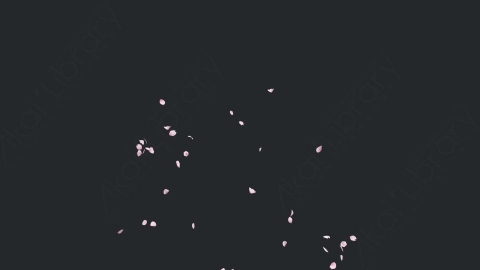 视频素材 樱花花瓣飘落飘动动画视频素材cherry-blossom-4-pack-EX68PYG04