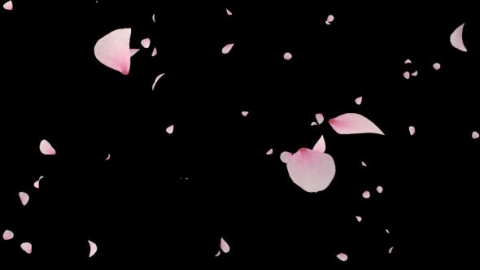 视频素材 樱花花瓣飘落飘动动画视频素材cherry-blossom-falling1-94UMRT7
