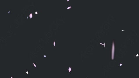视频素材 樱花花瓣飘落飘动动画视频素材cherry-blossom-petals-pack-T2LN68401