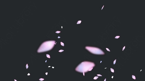 视频素材 樱花花瓣飘落飘动动画视频素材cherry-blossom-petals-pack-T2LN68402