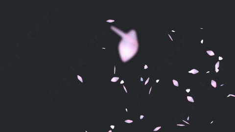 视频素材 樱花花瓣飘落飘动动画视频素材cherry-blossom-petals-pack-T2LN68403