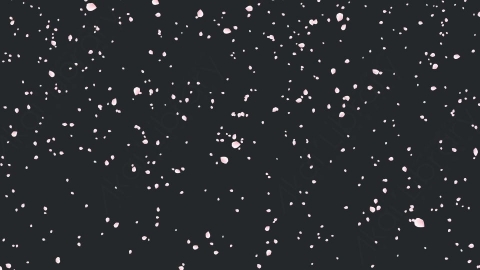 视频素材 樱花花瓣飘落飘动动画视频素材cherry-blossom-sakura-ZHTKTDSv1
