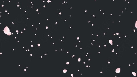 视频素材 樱花花瓣飘落飘动动画视频素材cherry-blossom-sakura-ZHTKTDSv3