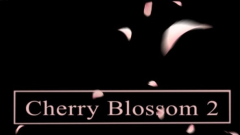 视频素材 樱花花瓣飘落飘动动画视频素材cherry-blossom2-Z9SF2B3