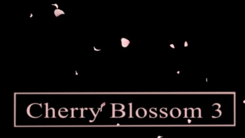 视频素材 樱花花瓣飘落飘动动画视频素材cherry-blossom3-3EYLXBV