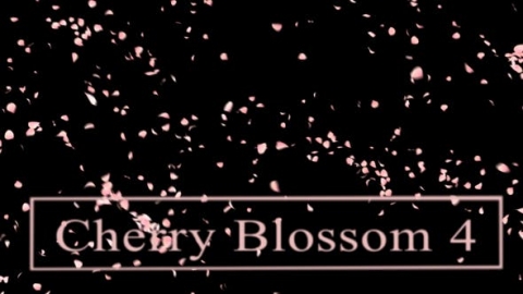 视频素材 樱花花瓣飘落飘动动画视频素材cherry-blossom4-GKXJ97H