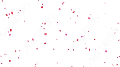 视频素材 心形花瓣飘落动画视频素材heart-falling-alpha-3UX6QHW01_hd.zip