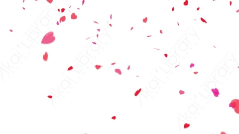 视频素材 心形花瓣飘落动画视频素材heart-falling-alpha-3UX6QHW02_hd.zip