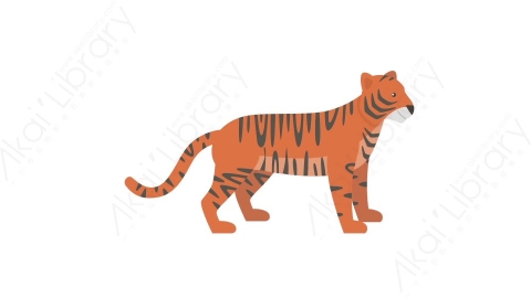 AE模板 01-tiger老虎MG扁平卡通动物元素图标