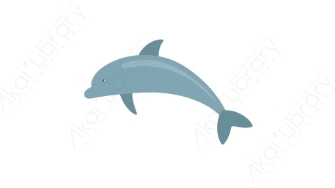 AE模板 07-dolphin海豚MG扁平卡通动物元素图标