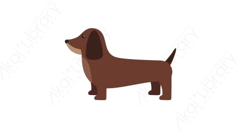 AE模板 09-dog-1小狗MG扁平卡通动物元素图标