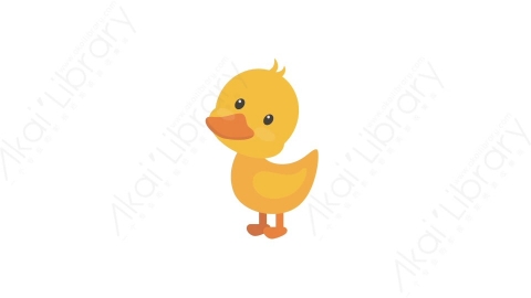 AE模板 12-duckling小黄鸭MG扁平卡通动物元素图标