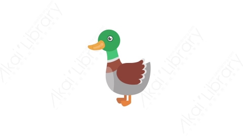 AE模板 17-duck鸭子MG扁平卡通动物元素图标