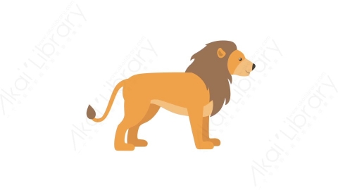 AE模板 24-lion狮子MG扁平卡通动物元素图标