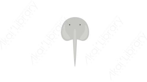 AE模板 27-elephant大象MG扁平卡通动物元素图标