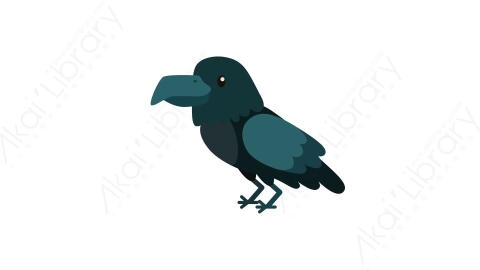 AE模板 35-bird-4小鸟MG扁平卡通动物元素图标
