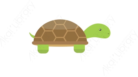 AE模板 37-turtle乌龟MG扁平卡通动物元素图标