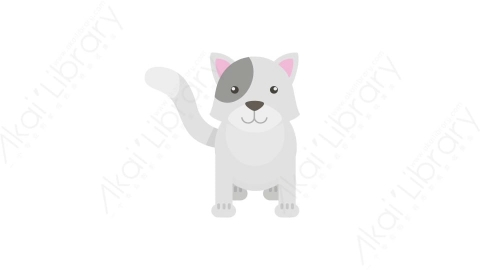 AE模板 40-cat-2猫咪小猫MG扁平卡通动物元素图标
