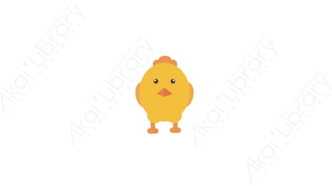 AE模板 41-chicken小鸡仔MG扁平卡通动物元素图标