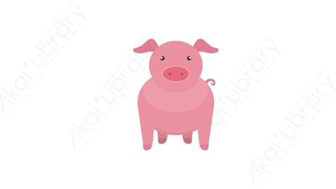 AE模板 42-pig小粉猪MG扁平卡通动物元素图标