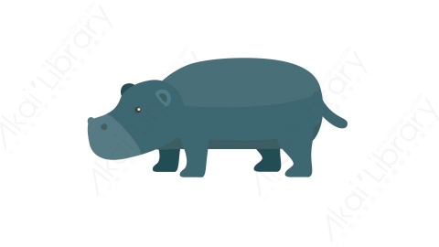 AE模板 51-hippopotamus河马MG扁平卡通动物元素图标