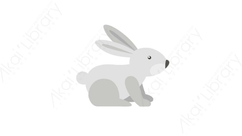 AE模板 54-rabbit兔子MG扁平卡通动物元素图标
