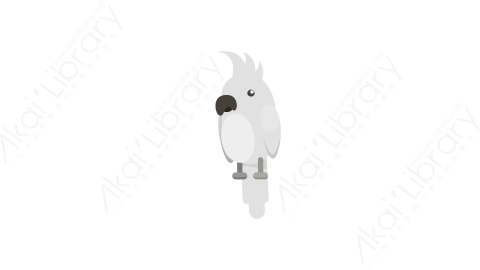 AE模板 61-bird-6鹦鹉小鸟MG扁平卡通动物元素图标