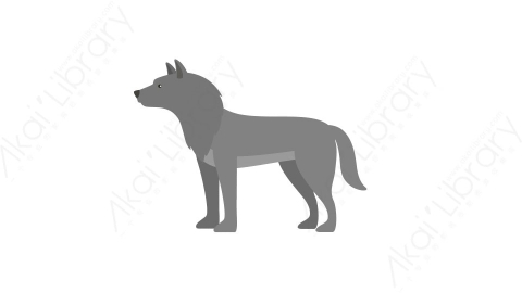 AE模板 62-wolf狼MG扁平卡通动物元素图标