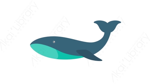 AE模板 63-whale鲸鱼MG扁平卡通动物元素图标