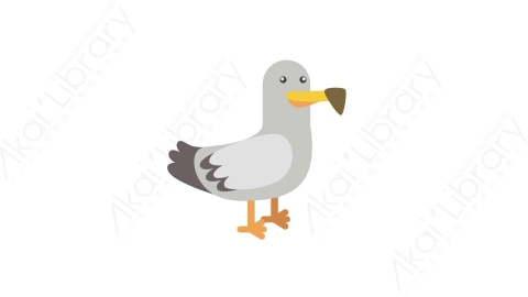 AE模板 65-bird-7小鸟MG扁平卡通动物元素图标