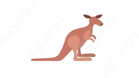 AE模板 68-kangaroo袋鼠MG扁平卡通动物元素图标