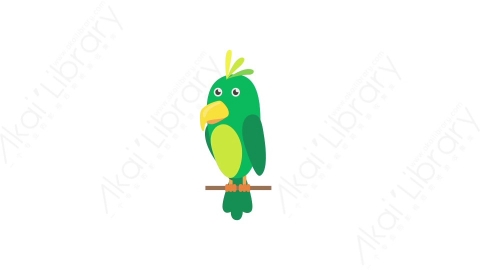 AE模板 71-bird-8小鸟MG扁平卡通动物元素图标